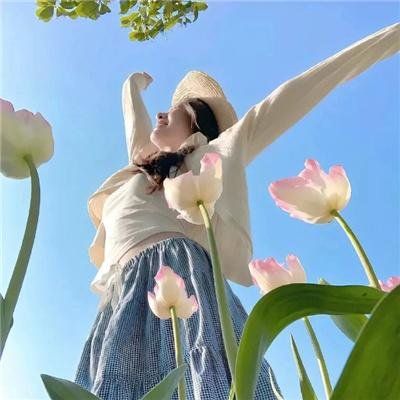 斗破苍穹年番